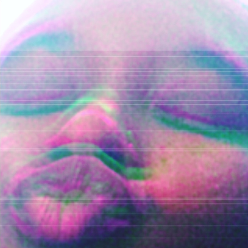 Meet your Posher, Yannie